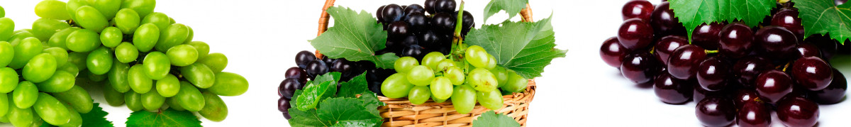 Фартуки для кухни: Напитки - 12071