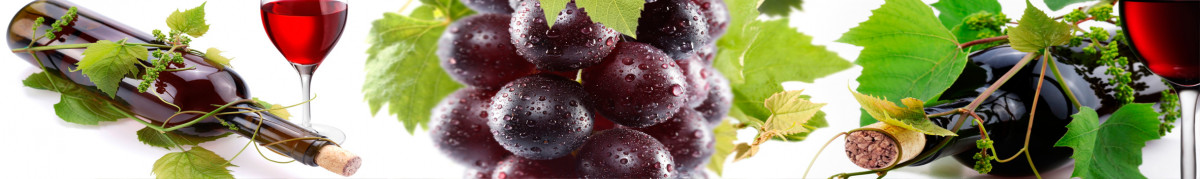 Фартуки для кухни: Напитки - 12210