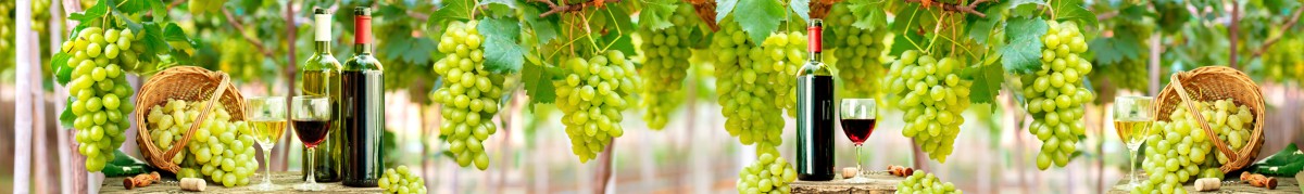 Фартуки для кухни: Напитки - 12328