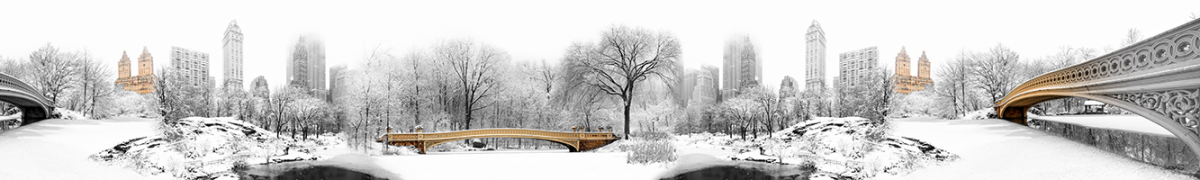 Фартуки для кухни: ArtSkinali-1766