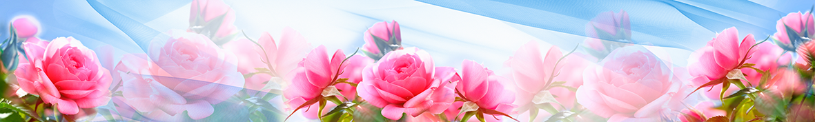 Фартуки для кухни: Популярное -3347
