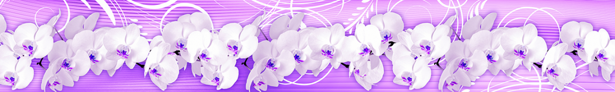Фартуки для кухни: ArtSkinali-2685