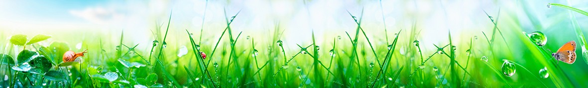 Фартуки для кухни: Популярное -5263