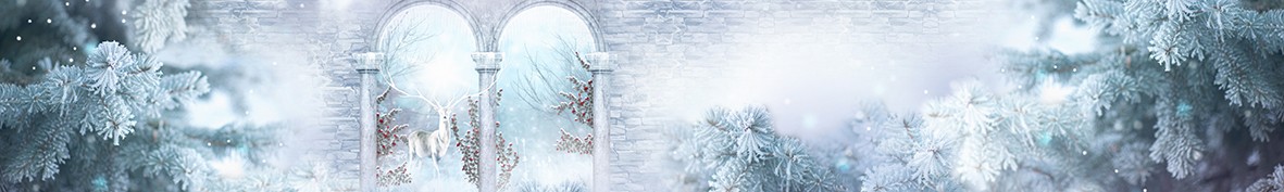 Фартуки для кухни: Популярное -5747