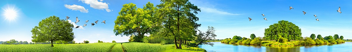 Фартуки для кухни: Популярное -5772