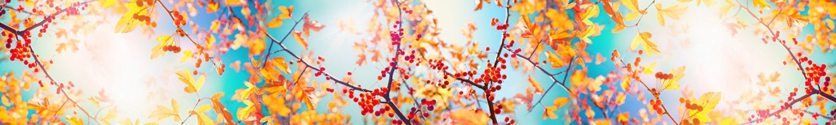 Фартуки для кухни: Популярное -5868