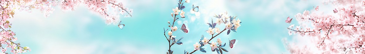 Фартуки для кухни: Популярное -5873