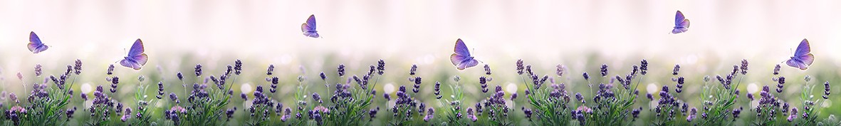 Фартуки для кухни: Популярное -6422