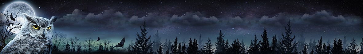 Фартуки для кухни: Популярное -6468