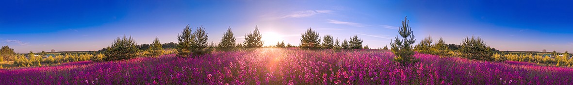 Фартуки для кухни: Популярное -6487