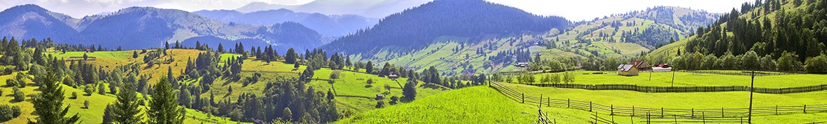 Фартуки для кухни: Популярное -6555