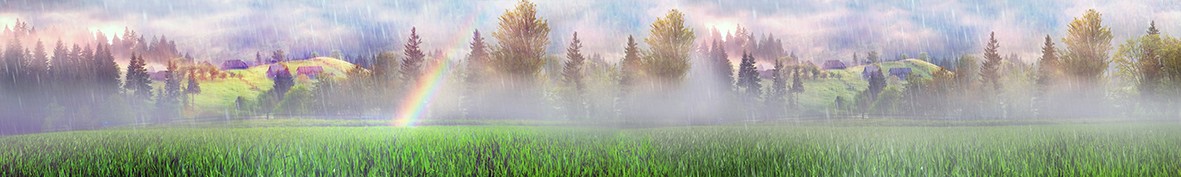 Фартуки для кухни: Популярное -6569