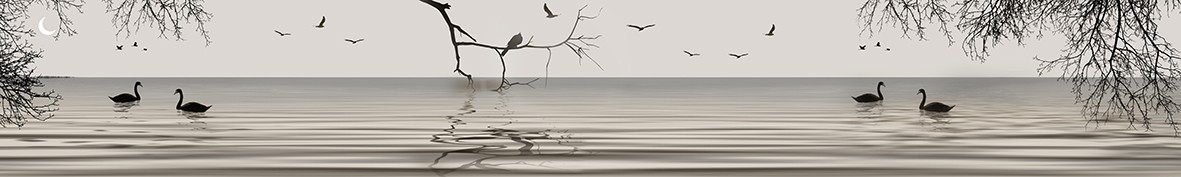 Фартуки для кухни: Популярное -6578