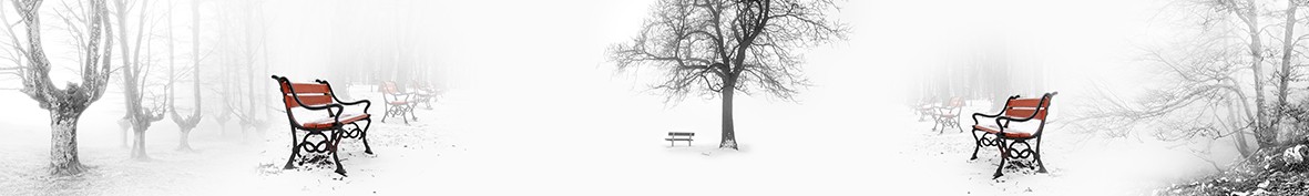 Фартуки для кухни: Популярное -6654