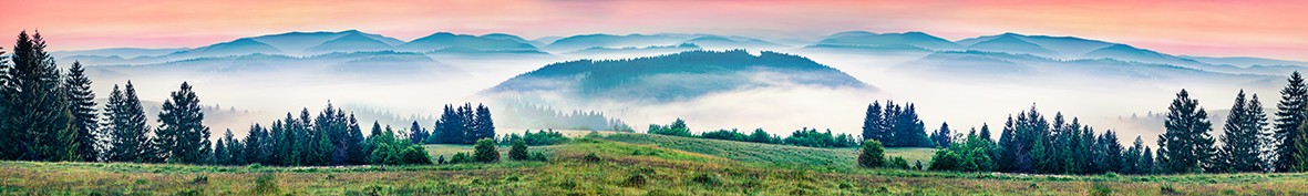 Фартуки для кухни: Популярное -6702
