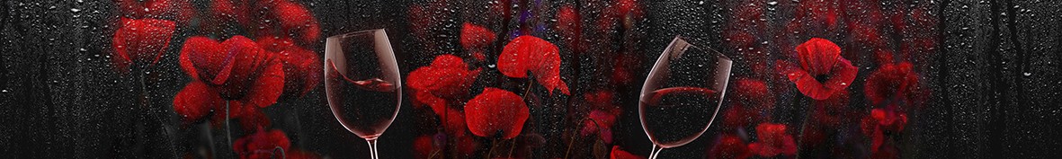 Фартуки для кухни: Популярное -5646