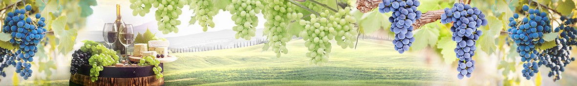 Фартуки для кухни: Популярное -5761