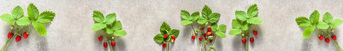 Фартуки для кухни: Популярное -6293