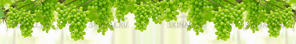 Фартуки для кухни: Популярное-4721