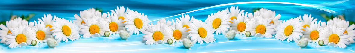 Фартуки для кухни: Популярное -3580