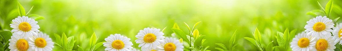 Фартуки для кухни: Популярное -5084