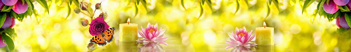 Фартуки для кухни: Популярное -5134