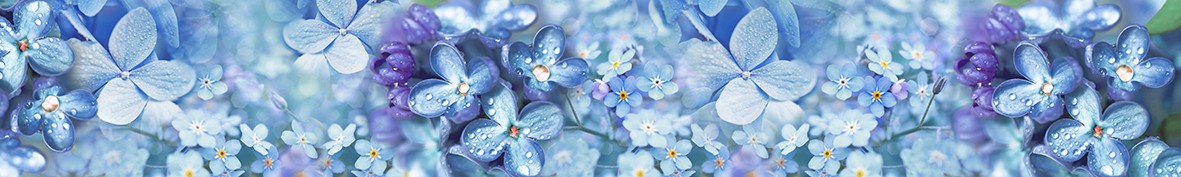 Фартуки для кухни: Популярное -5165