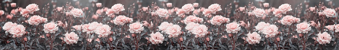 Фартуки для кухни: Популярное -5300