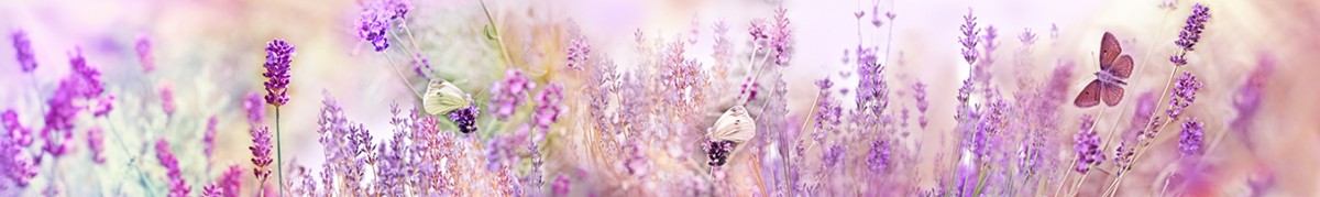 Фартуки для кухни: Популярное -5303