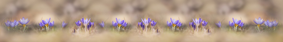 Фартуки для кухни: Популярное -5305