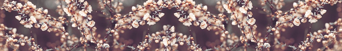 Фартуки для кухни: Популярное -5336