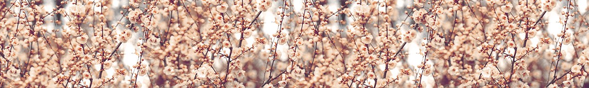 Фартуки для кухни: Популярное -5350