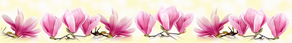 Фартуки для кухни: Популярное -5366