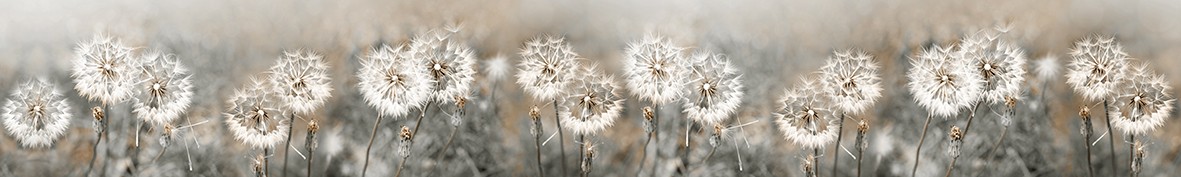 Фартуки для кухни: Популярное -5386