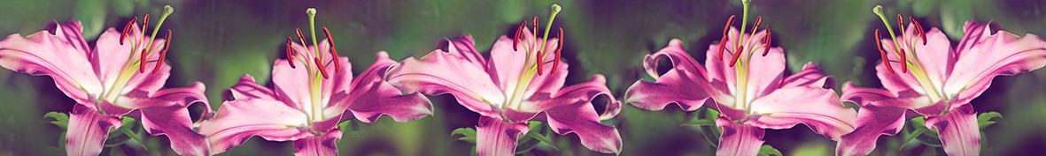 Фартуки для кухни: Популярное -5389