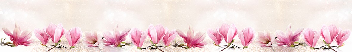 Фартуки для кухни: Популярное -5390