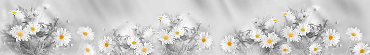 Фартуки для кухни: Популярное -5447