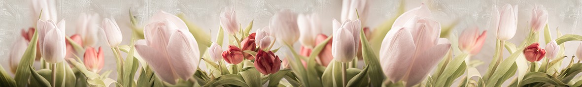 Фартуки для кухни: Популярное -5694