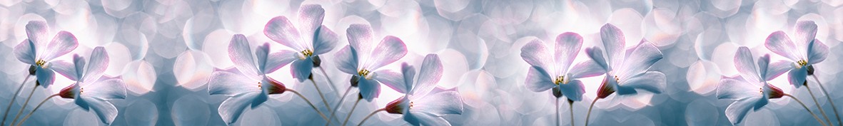 Фартуки для кухни: Популярное -5752