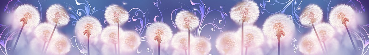 Фартуки для кухни: Популярное -5758