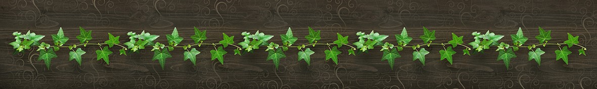 Фартуки для кухни: Популярное -5854