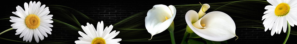 Фартуки для кухни: Популярное -5864
