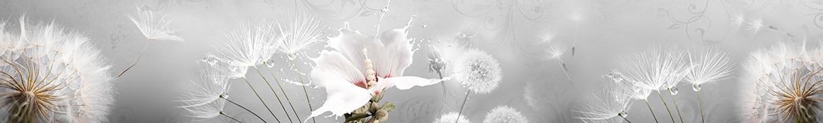 Фартуки для кухни: Популярное -5869