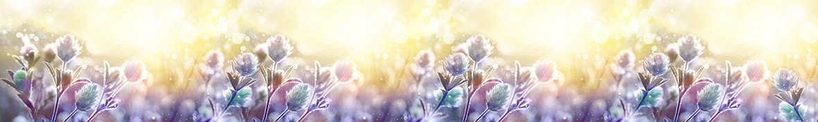 Фартуки для кухни: Популярное -5878