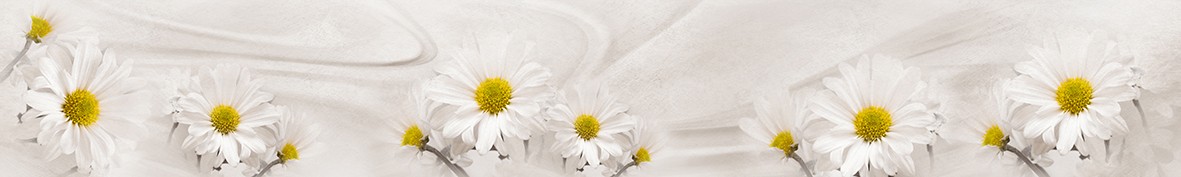 Фартуки для кухни: Популярное -5962
