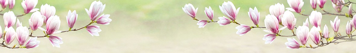 Фартуки для кухни: Популярное -6208