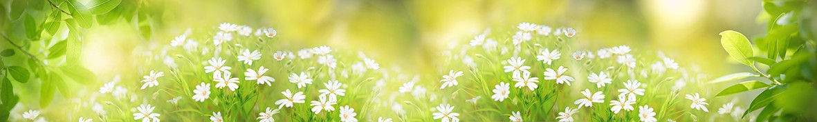 Фартуки для кухни: Популярное -6229