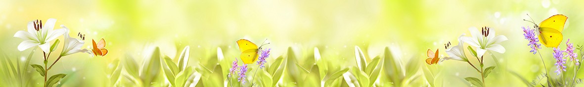 Фартуки для кухни: Популярное -6256