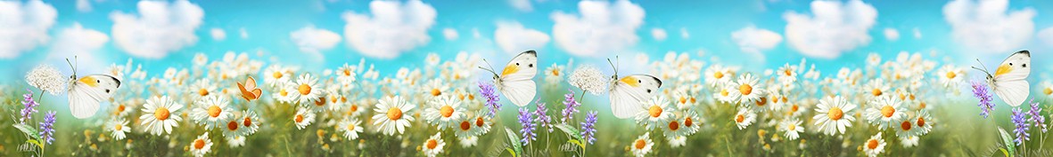 Фартуки для кухни: Популярное -6262