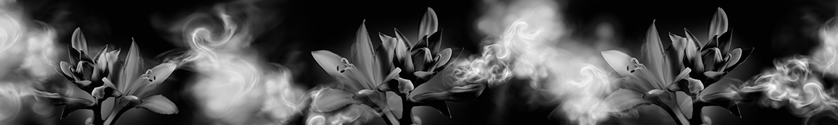 Фартуки для кухни: Популярное -6271
